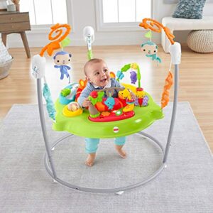 Fisher-Price Jumperoo: Tiger Time