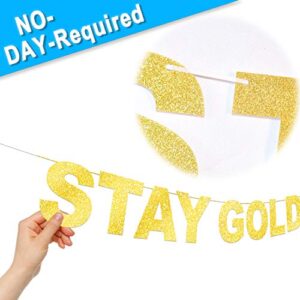 Stay Golden Banner Lucky Birthday Party Decorations Picks for Gold Glitter Happy Birthday Bunting Garland Decor Supplies