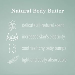 Earth Mama Belly Butter for Dry, Itchy Skin | Luxuriously Moisturizing for Pregnancy & Beyond, 8-Fluid Ounce (Packaging May Vary)