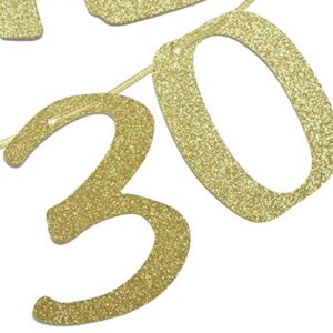 Qttier I Put The Dirty in 30 Gold Glitter Banner for 30th Birthday Party Decorations and Photo Backdrops