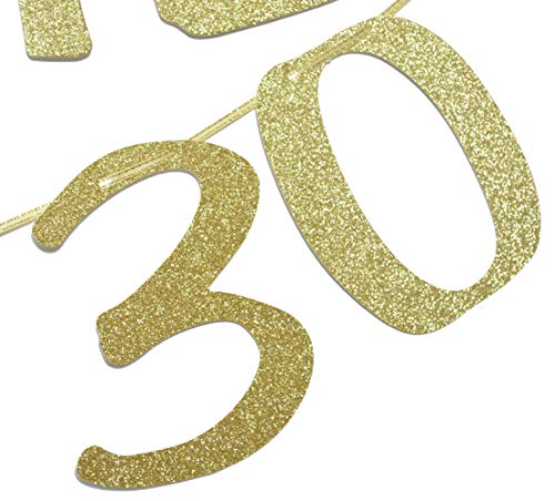 Qttier I Put The Dirty in 30 Gold Glitter Banner for 30th Birthday Party Decorations and Photo Backdrops