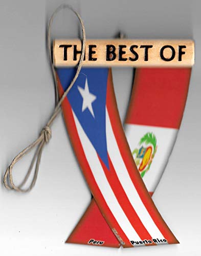 PUERTO RICO AND PERU PERURICAN BORICUA PERUVIAN CARIBBEAN SOUTH AMERICAN REARVIEW MIRROR MINI BANNER HANGING FLAGS FOR THE CAR UNITY FLAGZ™