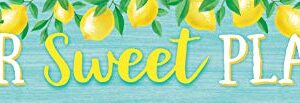 Teacher Created Resources Lemon Zest Our Sweet Place Banner (TCR8492)