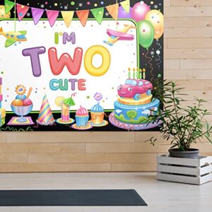 I'm Two Cute Birthday Backdrop Banner Decor Colorful - Happy 2nd Birthday Party Theme Decorations for Baby Girls Boys Supplies One Size