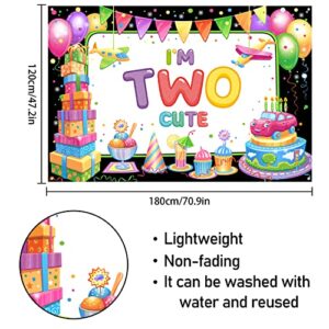 I'm Two Cute Birthday Backdrop Banner Decor Colorful - Happy 2nd Birthday Party Theme Decorations for Baby Girls Boys Supplies One Size