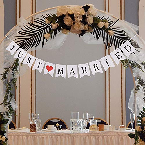 Just Married Wedding Banner Car Decorations (Banner + LED Light + Decal)