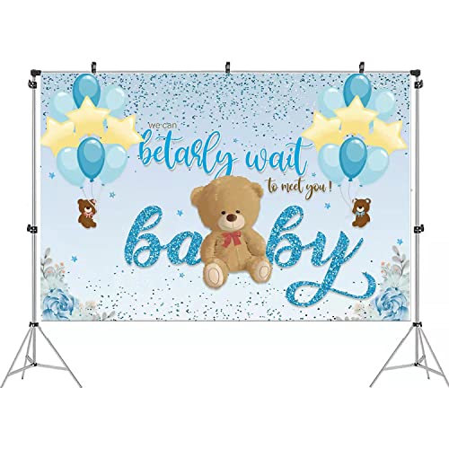 We Can Bearly Wait Baby Shower Decorations, Sky Blue Teddy Bear Backdrop, Bearly to Meet You Banner Backdrop for Boys Girls Party Decorations Baby Shower Photography Background Wall Hanging