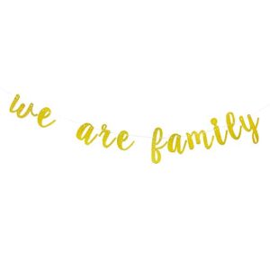 Gold Glitter We are Family Banner, Family Reunion Party Banner, Family Photo Prop, Banner for Family Party Home Decoration - We are Family