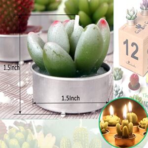 AIXIANG 12Pcs Cactus Candles Succulent Candles, Wedding Party Favors for Guests, Bridal Shower Candles Favors