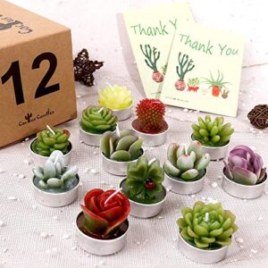 AIXIANG 12Pcs Cactus Candles Succulent Candles, Wedding Party Favors for Guests, Bridal Shower Candles Favors