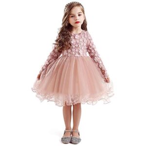 ttyaovo girls long sleeve lace 3d flowers tulle layered princess party dresses size(120) 3-4 years pink