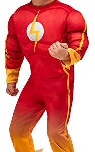 Rubies DC League of Super-Pets Costume, Flash, 4T