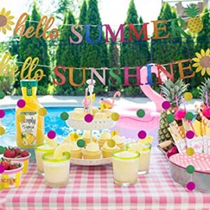 Hello Summer Banner, Glittery Hello Sunshine Classroom Decor Sign, Hello Summer Decorations for Home Office, Hello Summer Birthday Party Decorations, Sunflower Flamingo Pineapple Hawaiian Party Decor