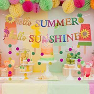 Hello Summer Banner, Glittery Hello Sunshine Classroom Decor Sign, Hello Summer Decorations for Home Office, Hello Summer Birthday Party Decorations, Sunflower Flamingo Pineapple Hawaiian Party Decor