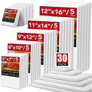 30 pack canvases for painting with 4×4″, 5×7″, 8×10″, 9×12″, 11×14″, 12×16″, painting canvas for oil & acrylic paint