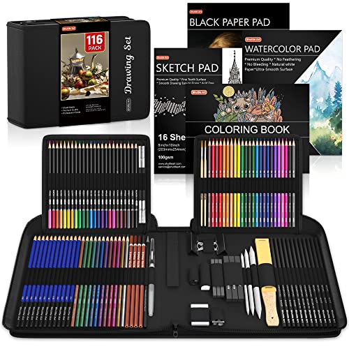 116 PCS Drawing Kit, Shuttle Art Complete Drawing Supplies with Sketch Pencils, Colored Pencils, Graphite, Charcoal Sticks, Professional Drawing Tools and Paper Pads for Artists, Beginners and Kids