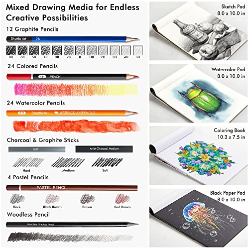 116 PCS Drawing Kit, Shuttle Art Complete Drawing Supplies with Sketch Pencils, Colored Pencils, Graphite, Charcoal Sticks, Professional Drawing Tools and Paper Pads for Artists, Beginners and Kids