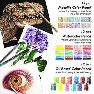 Caliart Art Supplies, Drawing Supplies, Premium Art Set Sketching Kit with 100 Sheets 3-Color Sketch Book, Graphite, Colored, Charcoal, Watercolor & Metallic Pencils for Artists Adults Teens Beginners