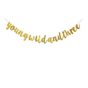 young wild and three banner, gold birthday party sign bunting, boy’s or girl’s 3rd birthday party decorations