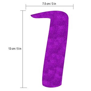 70 Never Looked So Good Purple Glitter Banner - 70th Birthday Decorations and Supplies