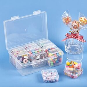 Qeirudu 30 Pcs Small Plastic Storage Containers with Hinged Lids - Clear Bead Organizer Box Mini Storage Cases for Beads, Jewelry and Craft Supplies (2.17 x 2.17 x 0.79 Inch)