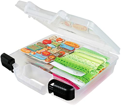 Small Quick View Carrying Case in Translucent