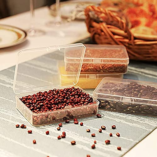 ZUER 2 Pcs Clear Plastic Beads Storage Containers Box,Large PP Clear Plastic Beads Storage Containers Box with Hinged Lid,Use for Holding Small Jewelry