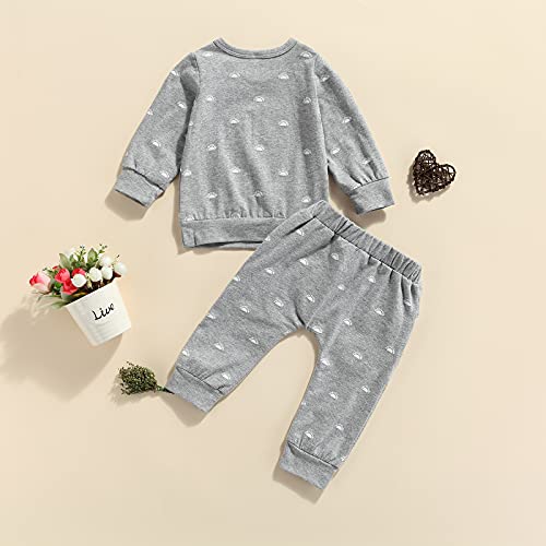 Newborn Baby Boys Clothes Infant Long Sleeve Sweatshirt Tops Pants Set Fall Winter Outfits (Grey Sunrise, 0-3 Months)