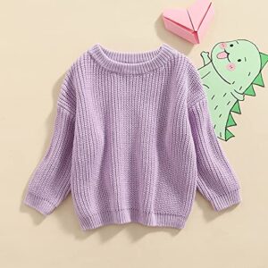 Yony Cles Baby Girls Clothes Fall 3 6 9 12 18 24 Months Toddler Girl Pullover Sweaters 2T 3T 4T 5T Kids Winter Warm Outfits Purple