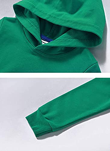 ZiweiStar Girls Boys' Crewneck Sport Long Sleeve Cotton Casual Solid T-Shirt Pullover Tops Kids' Hooded Youth Sweatshirt