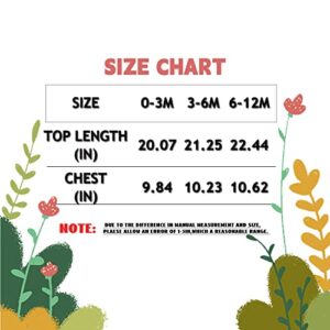 Fairy Sassy Newborn Baby Girl Bodysuit Infant Letter Flower Print Jumpsuit Coming Home Clothes Outfit ( 0-3 Months,Yellow )