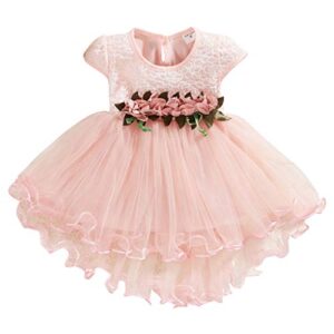 krogubis 0-2t baby girls floral lace tulle dresses infant kids flower wedding bridesmaid dress birthday party pageant dress (pink, 12-18months), 12-18 months