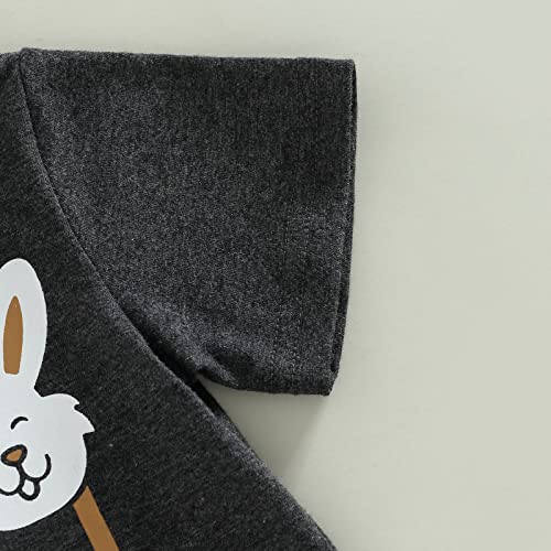 Toddler Infant Baby Boys Easter Outfit Letter Rabbit Printed Shirt Pants Spring Summer Clothes Set (Dark Gray, 2-3 Years)