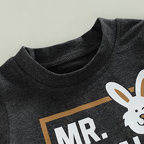 Toddler Infant Baby Boys Easter Outfit Letter Rabbit Printed Shirt Pants Spring Summer Clothes Set (Dark Gray, 2-3 Years)