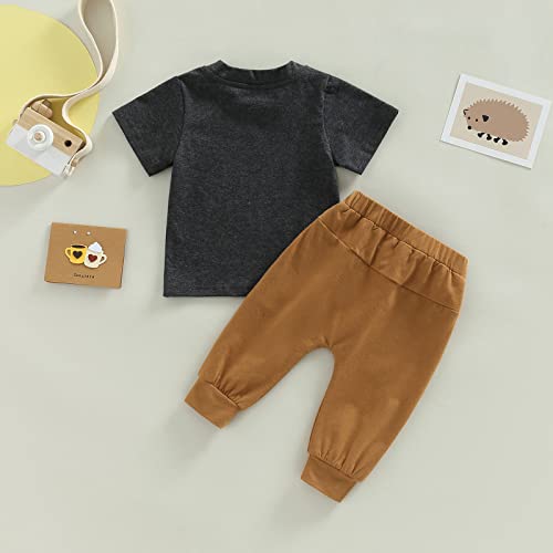 Toddler Infant Baby Boys Easter Outfit Letter Rabbit Printed Shirt Pants Spring Summer Clothes Set (Dark Gray, 2-3 Years)