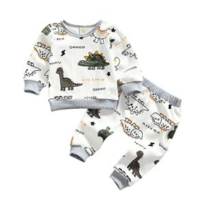 Ledy Champswiin 2pcs Winter Newborn Baby Boy Clothes Infant Cute Dinosaur Print Outfit Ribbed Cotton Long Sleeve Tops Pants Set (Dinosaur White, 0-3 Months)