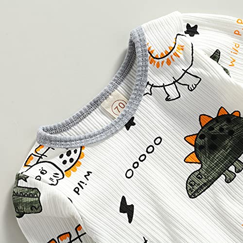 Ledy Champswiin 2pcs Winter Newborn Baby Boy Clothes Infant Cute Dinosaur Print Outfit Ribbed Cotton Long Sleeve Tops Pants Set (Dinosaur White, 0-3 Months)