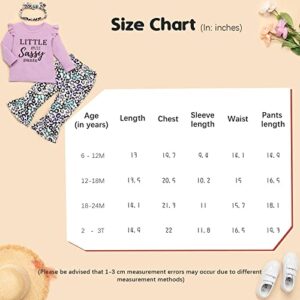 SYNPOS Toddler Girl Newborn Infant Clothes Set, Baby Girl Gifts Set Long Sleeve Sweatshirts Tops Pants Outfits