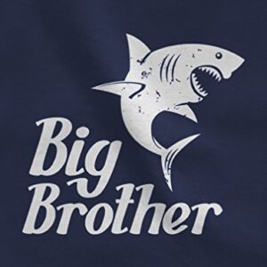 Tstars Big Brother Little Brother Shirts Gift For Shark Loving Boys Siblings Set Big Bro Navy 3T / Lil Bro Aqua 6M (3-6M)