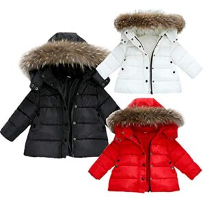 Baby Toddler Boys Girls Winter Jacket Coat Warm Clothes 1-6 Years Old Kids Fashion Long Sleeve Hoodie Outerwear (2-3 Years Old, White)