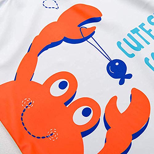 Baby Toddler Boys Two Pieces Swimsuit Set Swimwear Crab Bathing Suit Rash Guards with Hat UPF 50+ (Crab, 18-24Months)