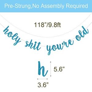 Holy Shit You're Old Banner, Pre-Strung, No Assembly Required, Funny Blue Glitter Paper Party Decorations for 30th 40th 50th 60th 70th 80th 90th Birthday Party Supplies, Letters Blue,ABCpartyland