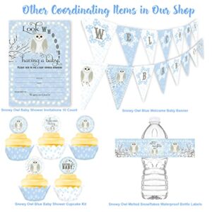 Snowy Owl Blue Welcome Baby Banner - Winter Baby Shower Supplies - Winter Baby Shower Decorations - Snowflake Baby Shower Supplies - Blue Baby Shower Decorations - Blue Shower