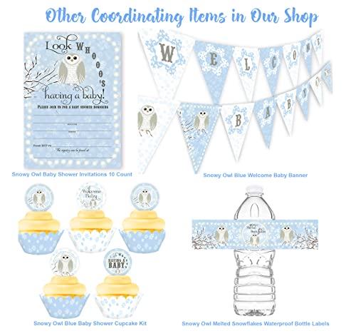 Snowy Owl Blue Welcome Baby Banner - Winter Baby Shower Supplies - Winter Baby Shower Decorations - Snowflake Baby Shower Supplies - Blue Baby Shower Decorations - Blue Shower