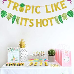 Tropic Like Its Hot Banner for Summer Tropical Hawaiian Luau Flamingo Birthday Party Bachelorette Party Decorations