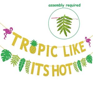 Tropic Like Its Hot Banner for Summer Tropical Hawaiian Luau Flamingo Birthday Party Bachelorette Party Decorations