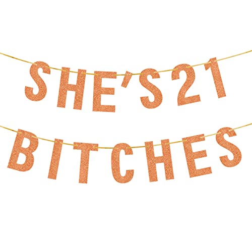 She's 21 Bitches Banner, Rose Gold 21 Birthday Decorations for Her, 21st Birthday Decoration, 21st Birthday Party Supplies, 21 Years Old Birthday Gifts for Her, No Installation