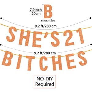 She's 21 Bitches Banner, Rose Gold 21 Birthday Decorations for Her, 21st Birthday Decoration, 21st Birthday Party Supplies, 21 Years Old Birthday Gifts for Her, No Installation