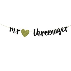 kungoon mr threenager banner,fun glitter paper sign for 3rd birthday party hanging decorations.