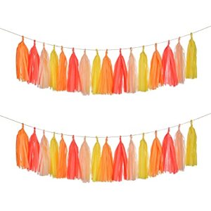mefuny 20pcs tissue paper tassel garland, diy paper tassels banner, party decorations for baby shower wedding birthday party thanksgiving day